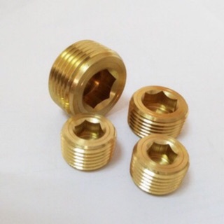 ปลั๊กอุดตัวหนอนทองเหลือง สกูรตัวหนอน Plug Brass Screw