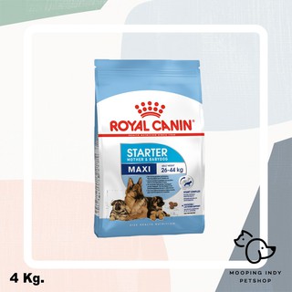 Royal Canin 4 kg. Maxi Starter Mother &amp; Baby Dog อาหารแม่สุนัขตั้งท้องและให้นมลูกและลูกสุนัขหลังหย่านม