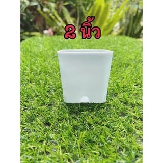 กระถางพลาสติกขนาด2นิ้วสีฟ้าอ่อนพลาสเทล