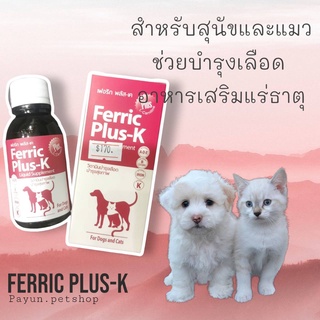 Ferric Plus-k เฟอริก ชนิดน้ำ อาหารเสริมบำรุงเลือด สุนัข และแมว 100ml