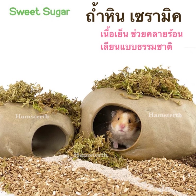 [Hamsterth] ถ้ำหิน เซรามิค หัวลูกโอ๊คเนื้อเย็น ช่วยคลายร้อน บ้านหลบ แฮมสเตอร์ เม่นแคระ