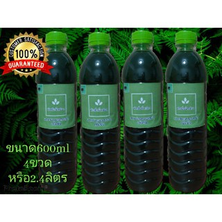 หัวเชื้อน้ำเขียว สาหร่ายคลอเรล่าเข้มข้น  4ขวด ขนาดขวดละ 600ml.(2.4ลิตร) สุดคุ้ม