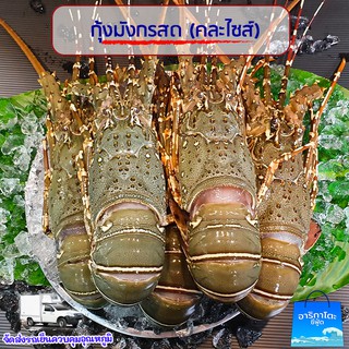 กุ้งมังกรสดคัดเกรดซาซิมิ สดมากกกกก ไม่เชื่อต้องลอง