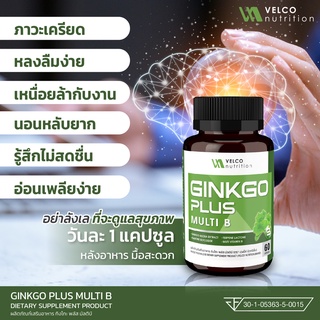 Velco nutrition Ginkgo plus multi vitamin B สารสกัดจากใบแปะก๊วย กิงโกะ Ginkgo Biloba extract