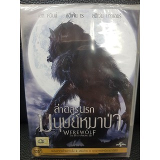 DVDหนัง WEREWOLF ล่าอสูรนรก มนุษย์หมาป่า พากย์ไทย (MVDDVD170-WEREWOLFล่าอสูรนรกมนุษย์หมาป่า) DVD หนัง หนังหายาก หนังเก่า