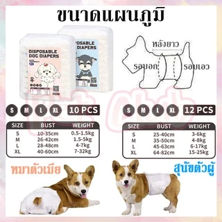 🐶พร้อมส่ง😻ผ้าอ้อมสัตว์เลี้ยง สำหรับสุนัขและแมว S/M/L/XL ผ้าอ้อมสุนัขเพศผู้ ผ้าอ้อมแมว