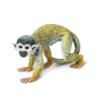 Safari Ltd. : SFR269829* โมเดลสัตว์ Squirrel Monkey