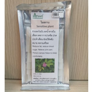 ชาไมยราบ Sensitive plant ณัชชานนท์ (10ซอง)