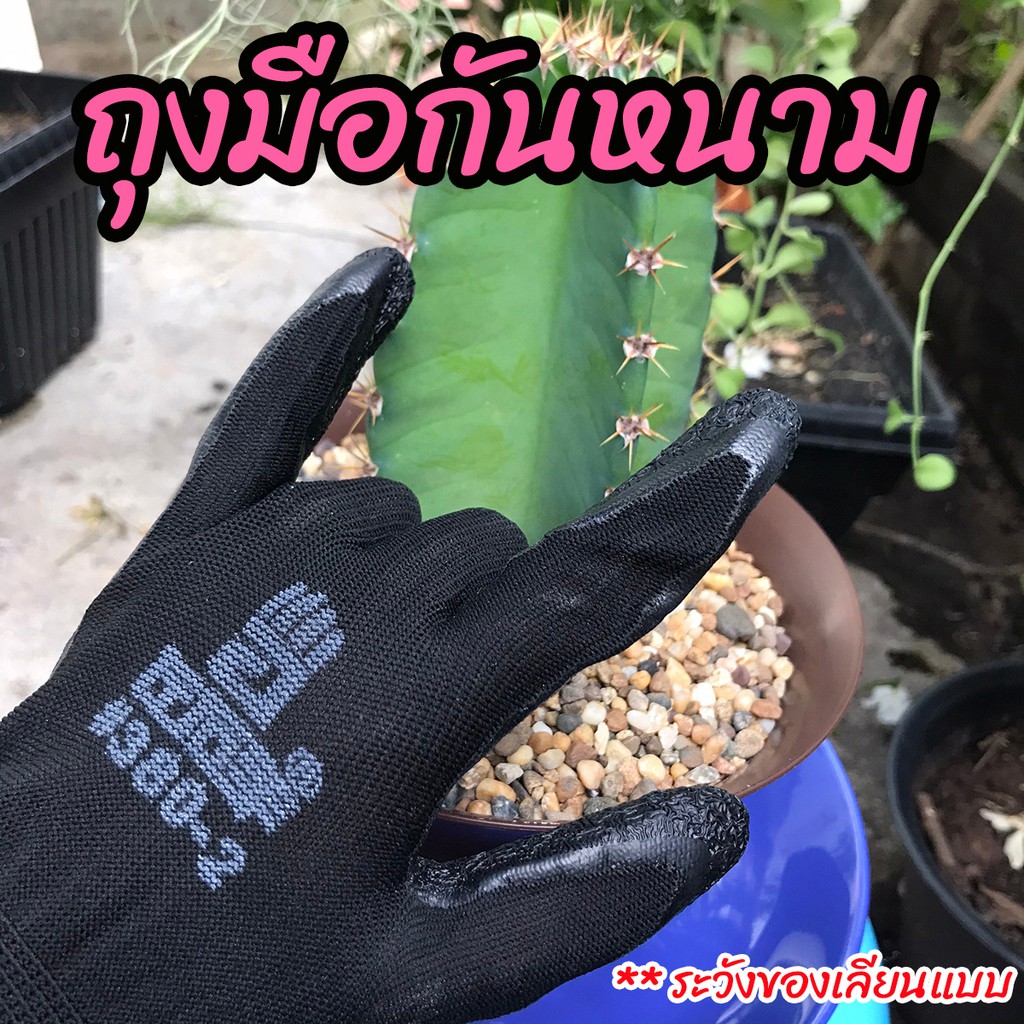 ถุงมือกันหนาม หนามแคคตัส หนามชะอม ถุงมือทำสวน ปลูกกระบองเพชร กันน้ำ กันลื่น สีดำ