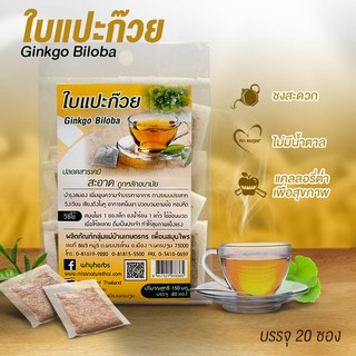 แปะก๊วย Ginkgo Biloba Herbal Tea ชาแปะก๊วย ใบแปะก๊วยแบบซองไม่มีน้ำตาล เครื่องดื่มสมุนไพรเพื่อสุขภาพ