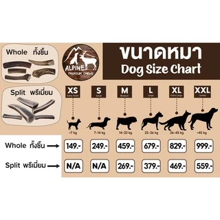 [ส่งจากไทย] Real Deer Antler Dog Chew ขนมขัดฟันสุนัข เขากวางแท้ ขนมแทะเล่นสุนัข Alpine Premium Chews