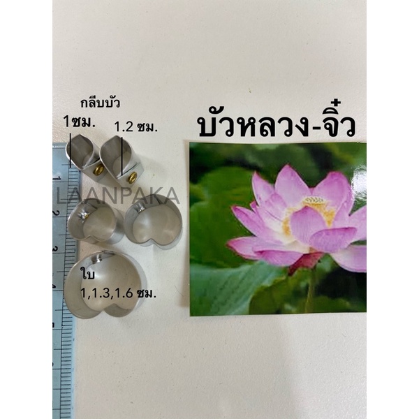 พิมพ์บัวหลวง-จิ๋ว (บัวหลวง - mini), พิมพ์ดอกไม้จิ๋ว