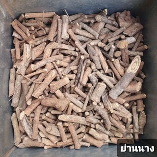 สมุนไพร ย่านนาง อบแห้ง อย่างดี 200กรัม