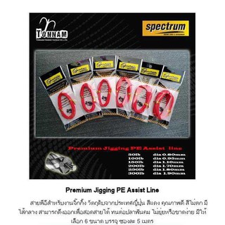 สายผูก เบ็ดจิ๊ก / Premium Jigging PE Assist Line Spectrum