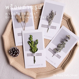 &lt;พร้อมส่ง&gt; การ์ดดอกหญ้า Grass Flower Card 5สี 14.5*8ซม. พร็อบ ดอกไม้ ถ่ายรูปสินค้า ของตกแต่ง ใบไม้ การ์ดตกแต่ง