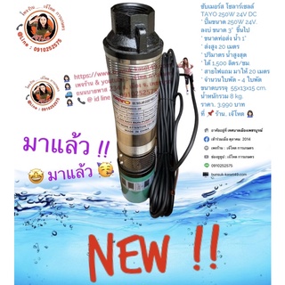 ซับเมอร์ส โซลาร์เซลล์ TAYO 250W 24V DC New..!!!