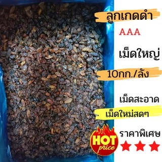 ลูกเกดดำเกรดAAA ยกลัง 10กก. เม็ดใหม่สะอาด รับประกัน!! ++สินค้าพร้อมส่ง++