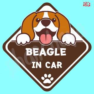 DIC1 สติ๊กเกอร์ ติดรถ Beagle Dog In Car สติ๊กเกอร์ติดรถ แต่งรถ car sticker