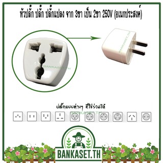 หัวปลั๊ก ปลั๊กแปลง จาก 3ขา เป็น 2ขา 250V (อย่างดี)