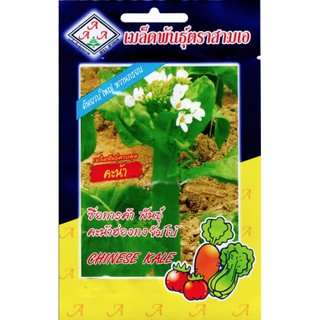 AAA 🇹🇭 ผักซอง A119# คะน้าฮ่องกงจัมโบ้ เมล็ดพันธุ์  เมล็ดพันธุ์ผัก เมล็ดพันธุ์ ผักสวนครัว ตราAAA สามเอ