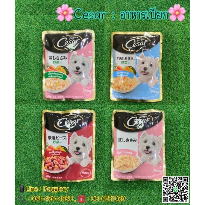 Cesar  อาหารเปียกหมา ซีซ่าร์