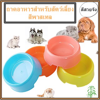 ถาดอาหารสำหรับสัตว์เลี้ยง ถาดอาหารสุนัข ถาดอาหารแมว สีพาสเทล มีทั้งหมด 4 สี E24-3