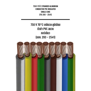 สายไฟ สายทองแดง THW 1x6 SQ.MM. ยี่ห้อ THAI UNION ยาว 20 เมตร 50 เมตร 100 เมตร มีให้เลือกหลายสี สายเดี่ยว สายแข็ง