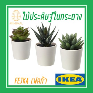 แคนตัส ไม้ประดิษฐ์ในกระถาง+กระถาง Succulent 6 ซม. อิเกีย IKEA