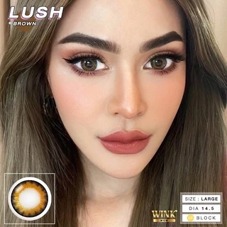 Wink lens (lush) ตาโต