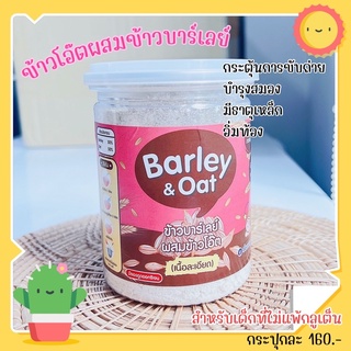 ข้าวโอ๊ตผสมข้าวบาร์เลย์ (6 เดือน+) สำหรับลูกที่ไม่แพ้กลูเต็น Barley &amp; Oat