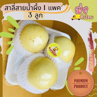 สาลี่สายน้ำผึ้งจีน แพ็ค 3 ลูก ผลไม้สุดพรีเมี่ยมนำเข้า !!หวานหอม กรอบอร่อยมาก!! เพื่อสุขภาพที่ดีของครอบครัวทุกคน พร้อมส่ง