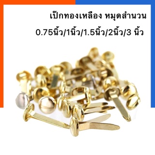 เป๊กทองเหลือง หมุดสำนวน Paper Fastener ขนาด 1/1.5/2 นิ้ว เป๊กติดกระดาษ ตราดอกไม้/ตราSnail หมุดลิ้นแฟ้มโลหะ US.Station