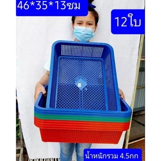 12ใบ ขนาดในรูปครับ กระบะพลาสติก ตะกร้าพลาสติก ตะแกรง ถาดปลูกผัก ตะกร้าใส่ของ ถาดเพาะถั่วงอก ตะแกรงใหญ่
