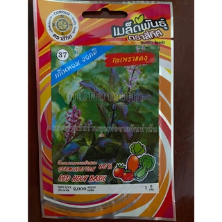 เมล็ดกระเพราเเดง 10 แถม 1 กะเพรา กระเพราแดง red holy basil เมล็ดพันธุ์ผัก