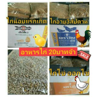 อาหารไก่ อาหารไก่เม็ดแบ่ง(700g)ขาย20บาทจ้า ไก่น้อยแรกเกิด ไก่ชน ไก่พื้นเมือง ไก่เนื้อ ไก่ไข่