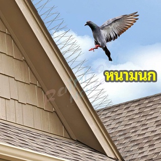 Rainbow หนามไล่นก อุปกรณ์ไล่นกทำรัง ทนทาน ทนแดด ทนฝน bird thorn