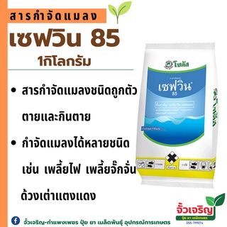 เซฟวิน 85 โซตัส 1กิโลกรัม กำจัดแมลงได้หลากหลายชนิดทั้ง เพลี้ยไฟ เพลี้ยแป้ง เพลี้ยอ่อน และแมลงปีกแข็ง