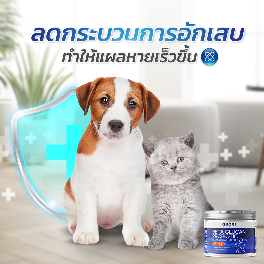 Gager (กาเจอร์) วิตามินหมา วิตามินแมว ผงเบต้ากลูแคน+โปรไบโอติค2in1 เสริมสร้างภูมิคุ้มกัน กลิ่นไก่ผสมตับ  (มีตัวเลือก) - รูปที่ 5