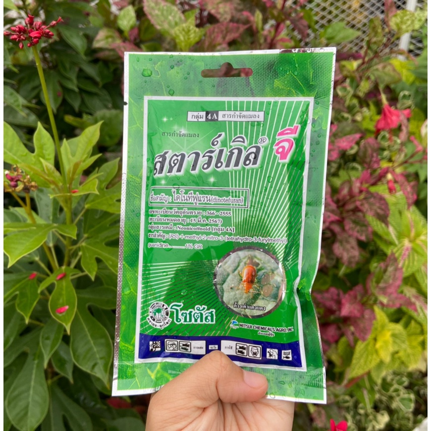 🎉เหลือ 14.- กรอกโค้ดDET50FEB ] สารกำจัดแมลง สตาร์เกิลจี 100g  สตาร์เกิลจี กําจัดเพลี้ย