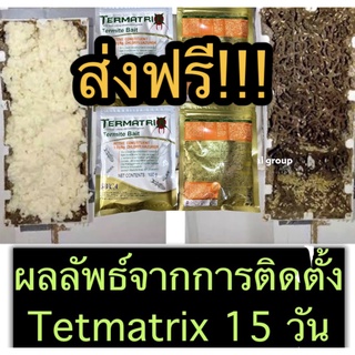 เหยื่อปลวก กำจัดปลวก เหยื่อกำจัดปลวก ยาปลวก อาหารปลวก ฆ่าปลวกตายยกรัง Termatrix สินค้าปี 66