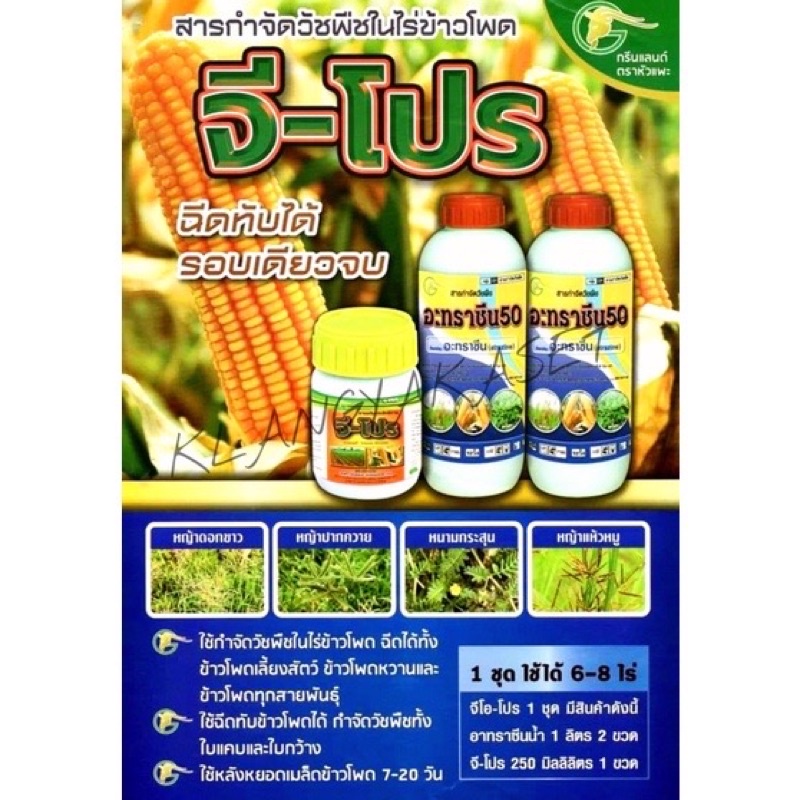คลีโอโปร คลีโอ โปร ชุด3ไร่ กำจัดวัชพืช ในไร่ข้าวโพด