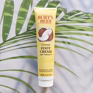 เบิร์ตส์บีส์ ครีมทาเท้า ผสมวิตามินอี Coconut Foot Cream with Vitamin E 121g (Burts Bees®)