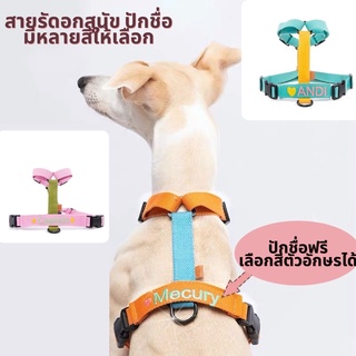 Ohmypet สายรัดอกแมว-สุนัขใหญ่ ที่รัดอกปักชื่อ ปักชื่อฟรี!! ขนาดมีตั้งแต่น้องแมว-น้องหมาใหญ่ ที่รัดอกปักชื่อ ใส่ชื่อได้