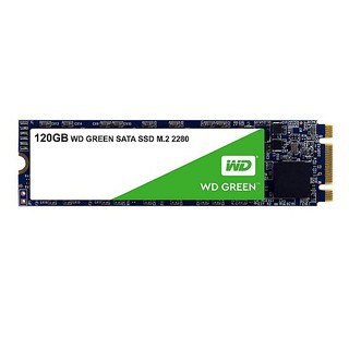 WD Green 120GB SSD SATA-III M.2 2280 Internal SSD (WDS120G2G0B)