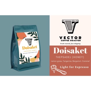 VECTOR : เมล็ดกาแฟคั่วอ่อนสำหรับชงเอสเพรสโซ่ จากดอยสะเก็ด จ.เชียงใหม่ Honey Process 250 กรัม