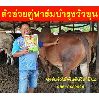 วิตามินบำรุงวัว ชุดนี้ 6 กิโล ตัวช่วยบำรุงคู่ฟาร์มวัว เกษตรกรใช้จริง ขายจริง ส่งจริง