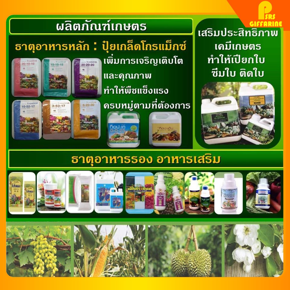 ปุ๋ย ปุ๋ยเกล็ด กิฟฟารีน 1 กิโลกรัม โกรแม็กซ์ อาหารหลัก รวมทุกสูตร Grow Max N-P-K ลดต้นทุน เพิ่มผลผลิต