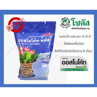 ออสโมโค้ท พลัส สูตร 12-25-6 (Osmocote Plus 12-25-6) บรรจุ 1 กก.