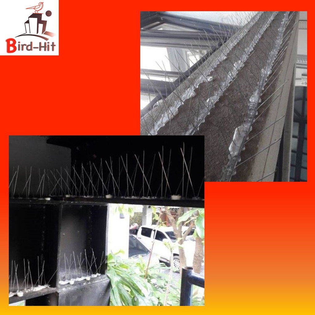 หนามกันนก​ ไล่นก​ หนามฐานโ​พลี​คาร์บอเนต​ รุ่นพิเศษ​ หนาม​ 60​ กิ่งต่อเส้น​ จำนวน​ 40 เส้น - รูปที่ 5