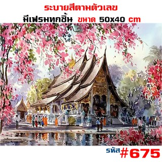 675 💥 ขึงเฟรมไม้ 💥 พร้อมส่ง DIY Paint Number รูปวาด ของขวัญ ภาพวาดระบายสี ภาพวาดสีน้ำมัน ภาพระบายสีตามตัวเลข ตกแต่งผนัง